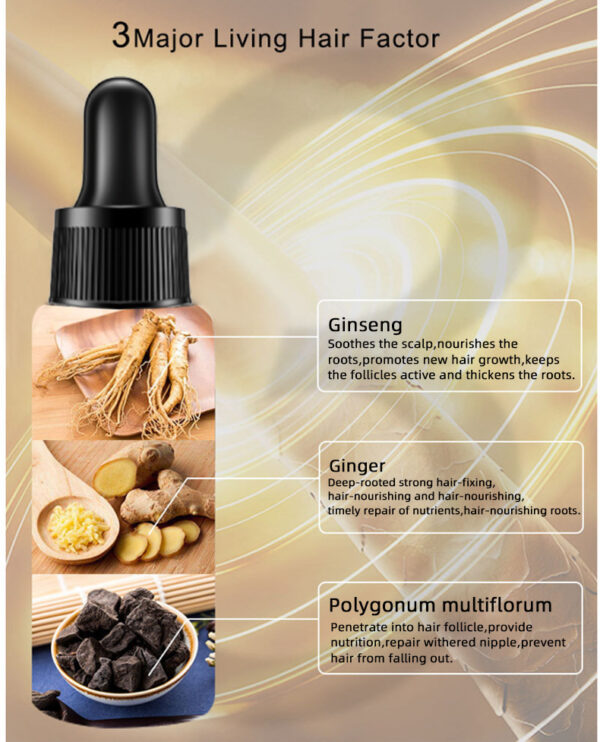 ⁦Hair Growth Oil Hair Growth Oil Oem Hair Care Essential Oil⁩ - الصورة ⁦7⁩